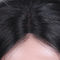 똑바로 흑인 여성 실크를 위한 순수한 처녀 머리 레이스 가발/레이스 정면 가발 협력 업체
